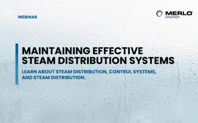 Maintaining Effective Steam Distribution Systems